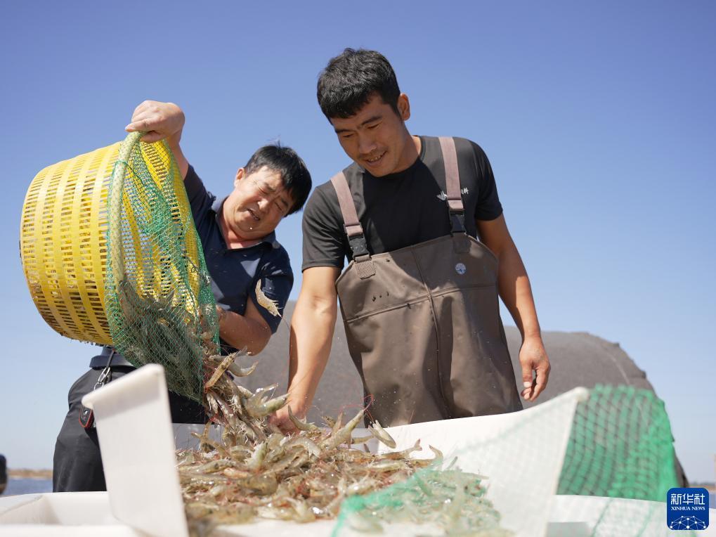 扑鱼达人千炮版游戏
